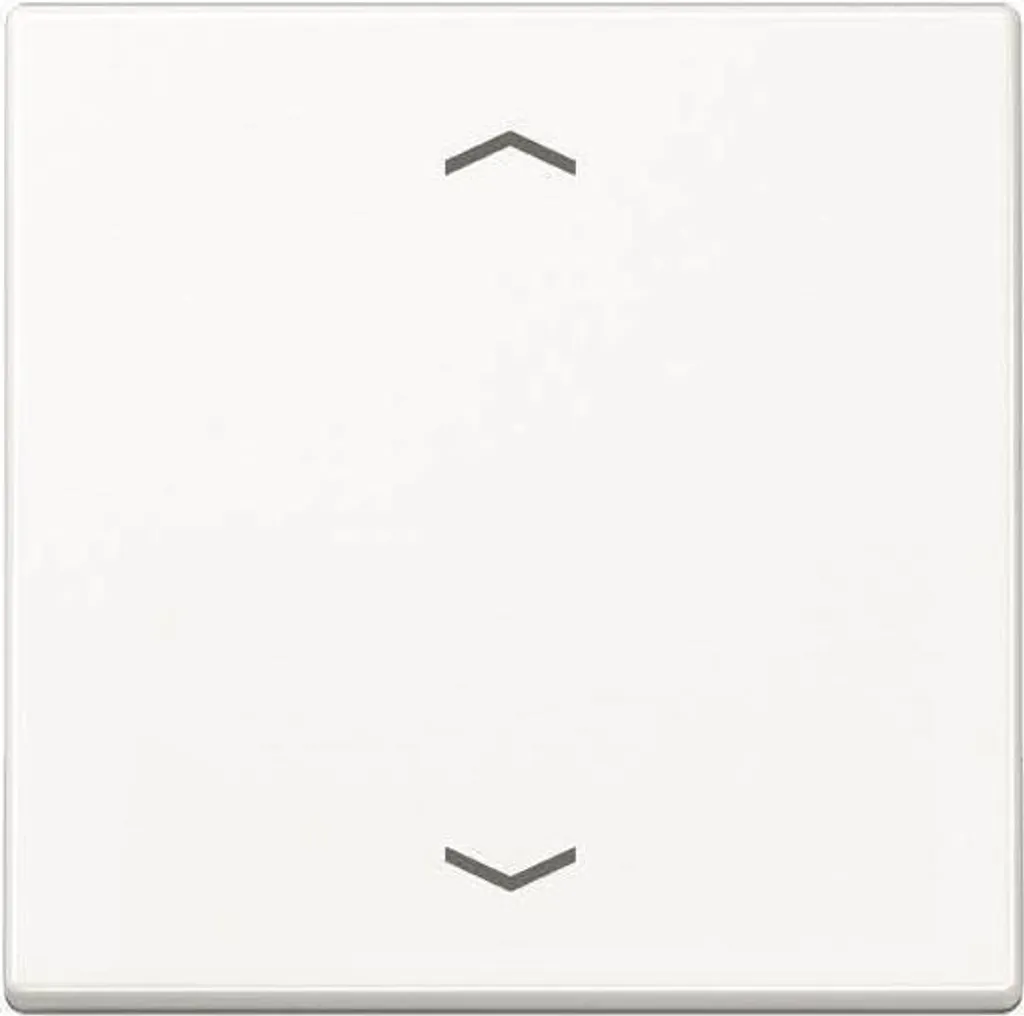 Plaque Touche Interrupteur Jung A 1700 P WW en Finition Blanc Alpin