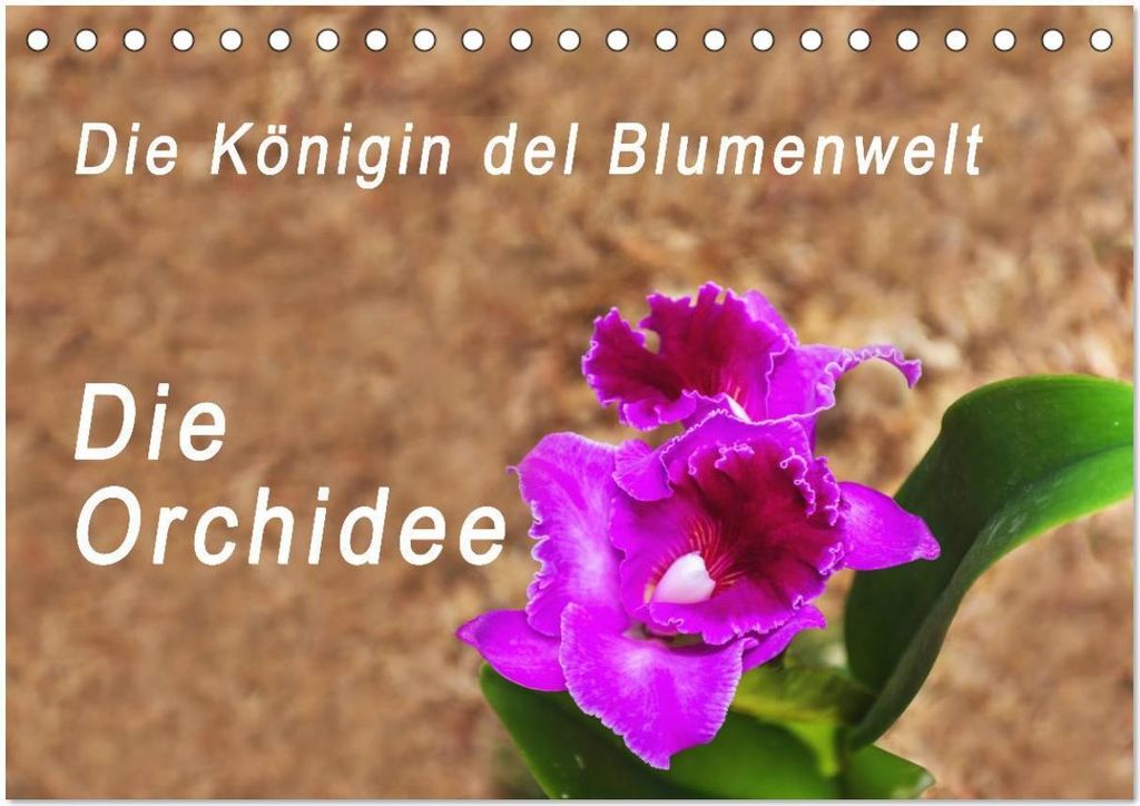 Die Königin der Blumenwelt, die Orchidee (Tischkalender 2026 DIN A5 quer), CALVENDO Monatskalender