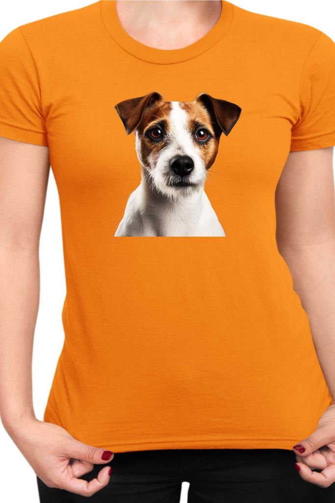 Damen T-Shirt Dogs Breeds Russell Terrier Dog Breed 005, Lady XL / Orange