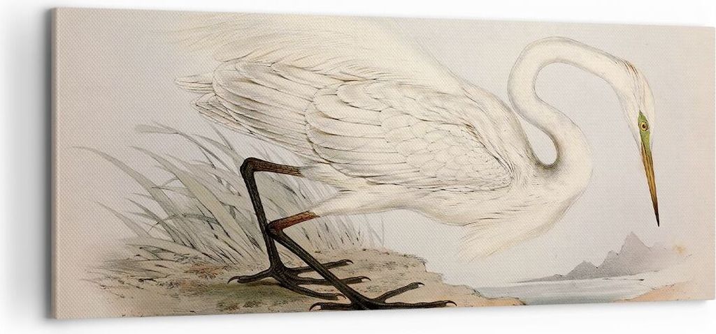 Bild auf Leinwand - Leinwandbild - Einteilig - Vogel Weiß Reiher - 100x40cm - Wand Bild - Wanddeko - Wandbilder - Leinwanddruck - Bilder - Wanddek...