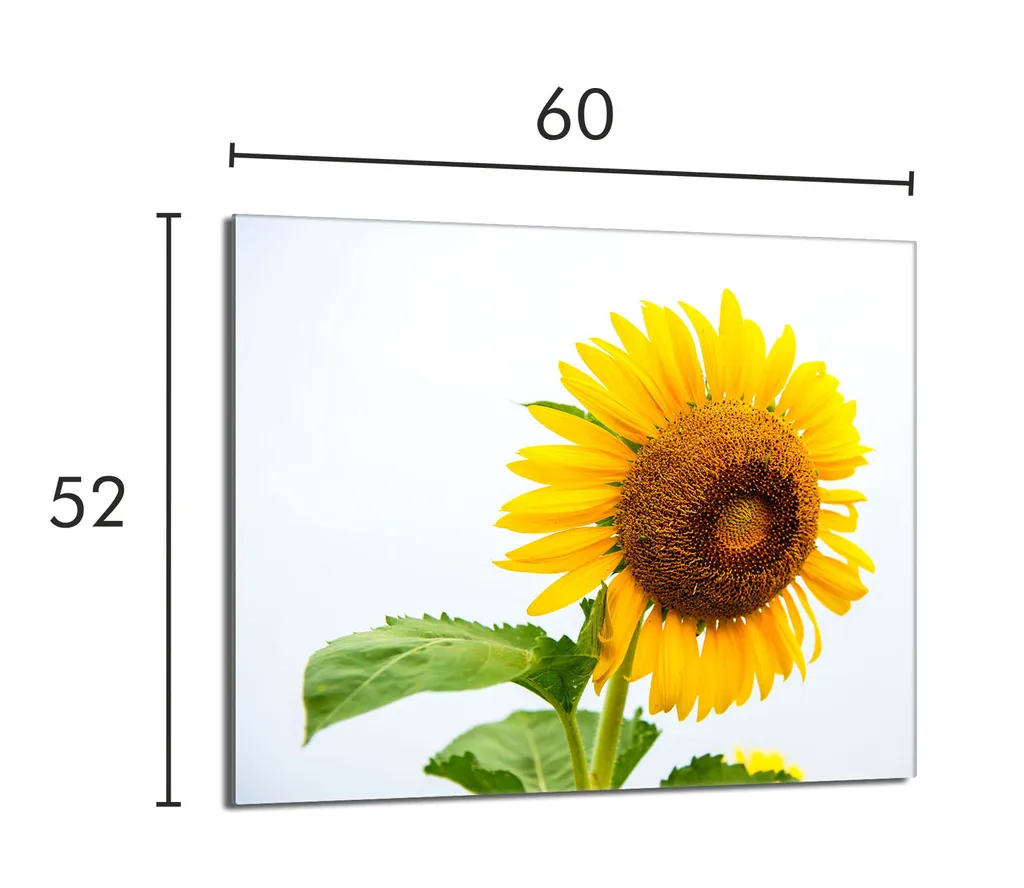 305921_5