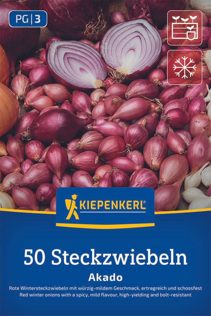 Kiepenkerl Wintersteckzwiebel Akado - rot Allium cepa 50 Produktbild 