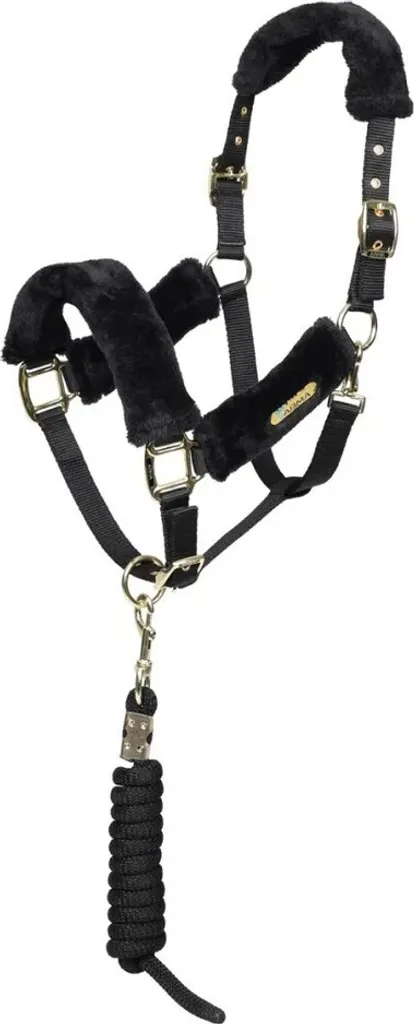 Licol de transport cheval ARMA Noir et longe assortie confort Full
