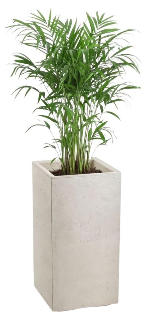 HowHomely | Blumentopf - Blumenkübel - beige - 30 x 30 x 60 cm - Übertopf - Betonstruktur - Dekorativ
