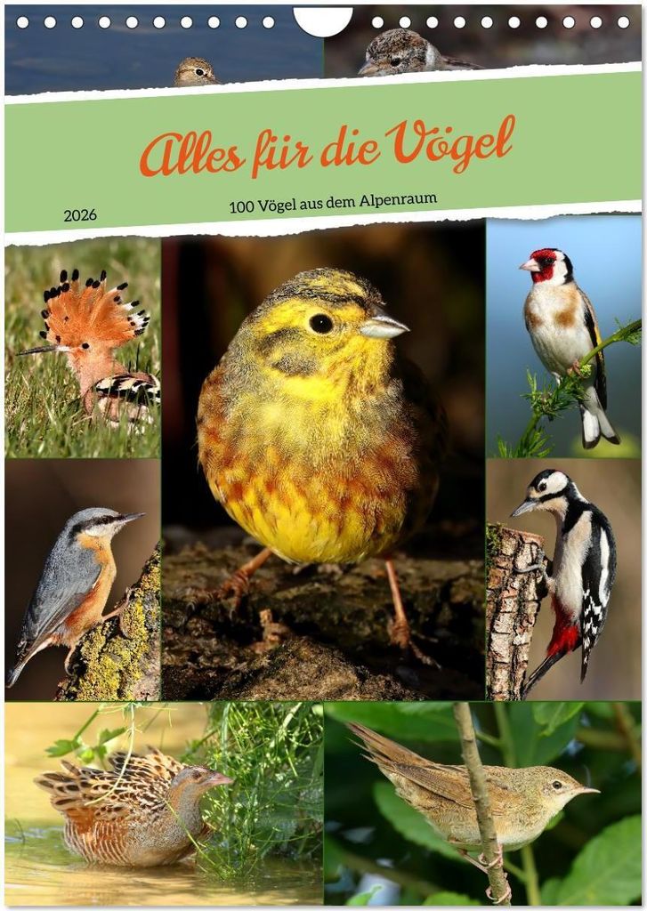 Alles für die Vögel (Wandkalender 2026 DIN A4 hoch), CALVENDO Monatskalender