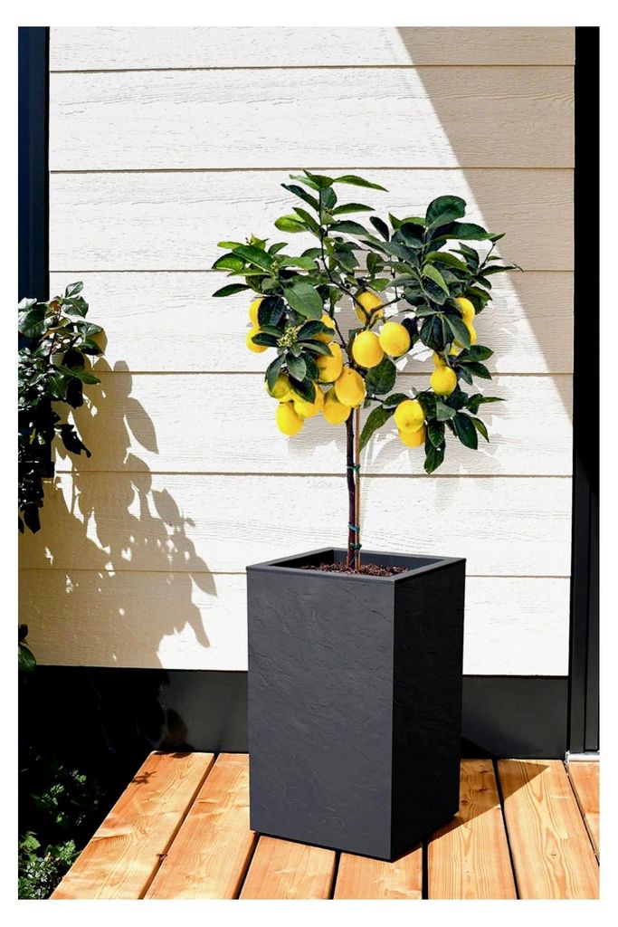 Pflanzkübel Vulkan, 36L Pflanzvolumen, rechteckig, Blumenkasten mit Wasserspeicher in Schieferoptik