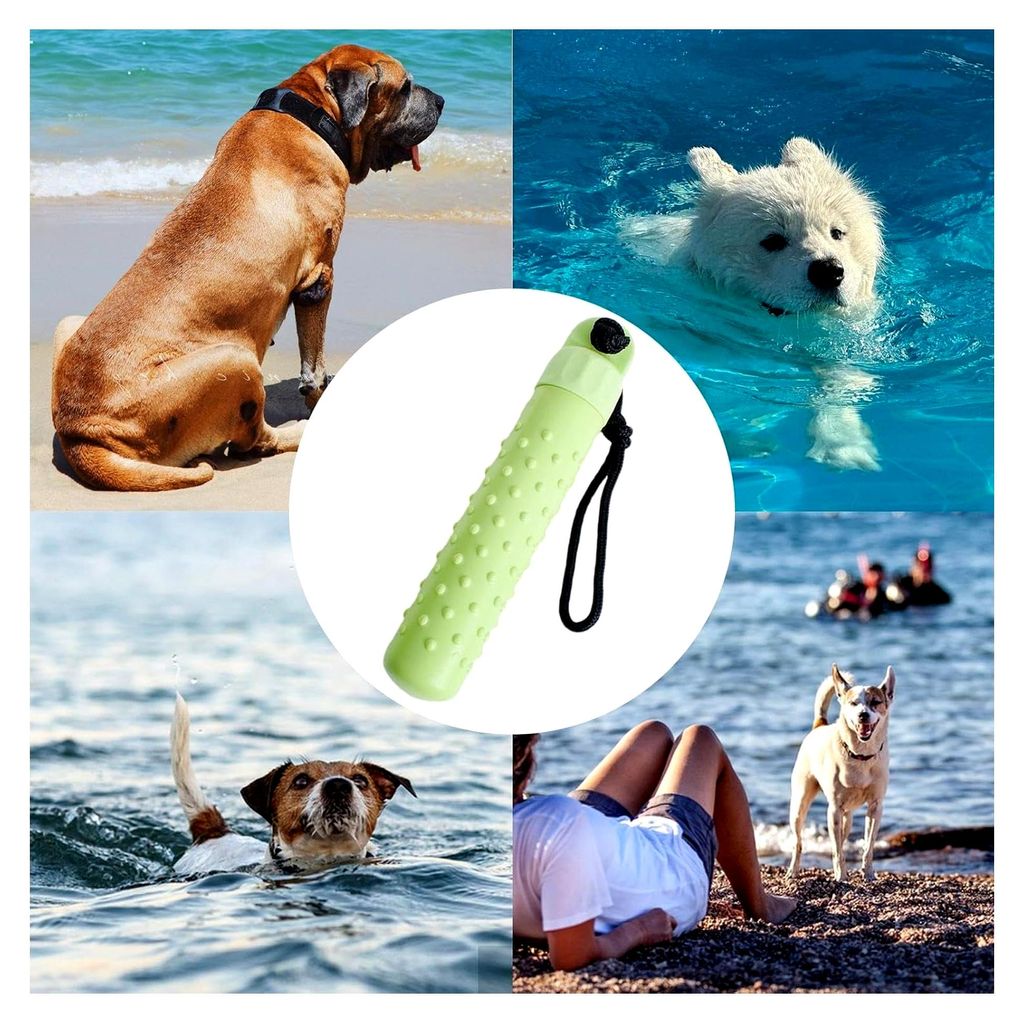 Wasserspielzeug für Hunde, interaktives Apportierspielzeug für den Außenbereich, Schwimmspielzeug für Welpen, Apportierseil, sicher für Strände