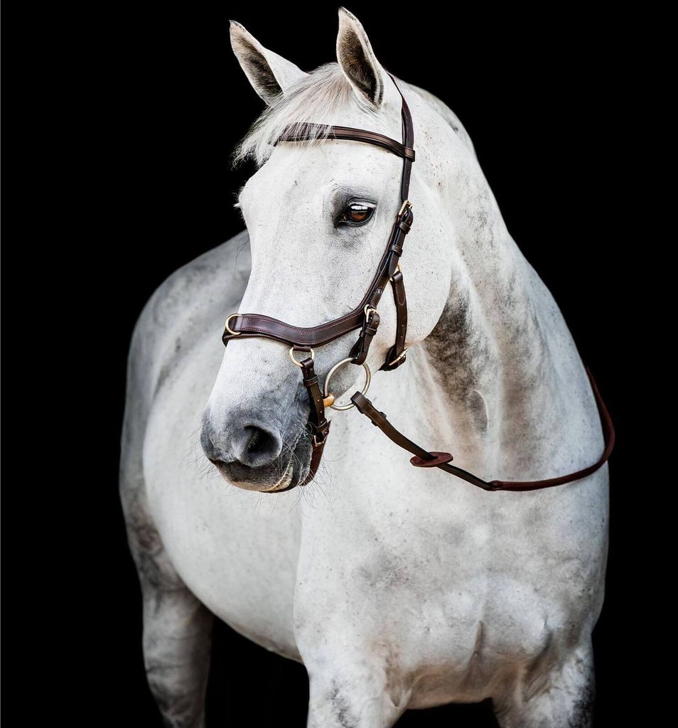 Uzdečka Horseware Micklem II Multi, velikost:Thoroughbred, Obrázek produktu 2