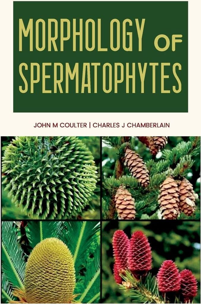 Morphology of Spermatophytes