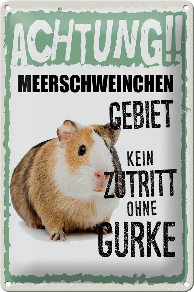 Blechschild Achtung Meerschweinchen Kein Zutritt ohne Gurke, 30 x 20 cm, Blechschilder Nagetiere Stall