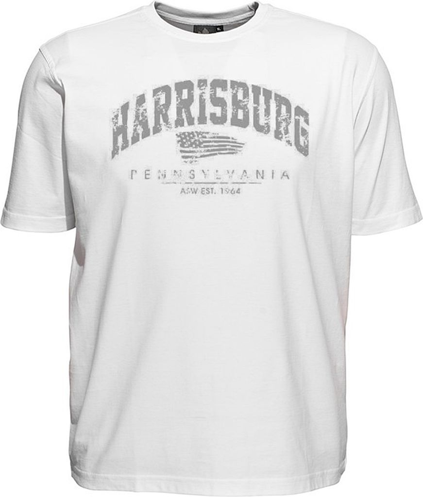 Übergrößen T-Shirt Harrisburg Grau AHORN SPORTSWEAR Weiß Produktbild 