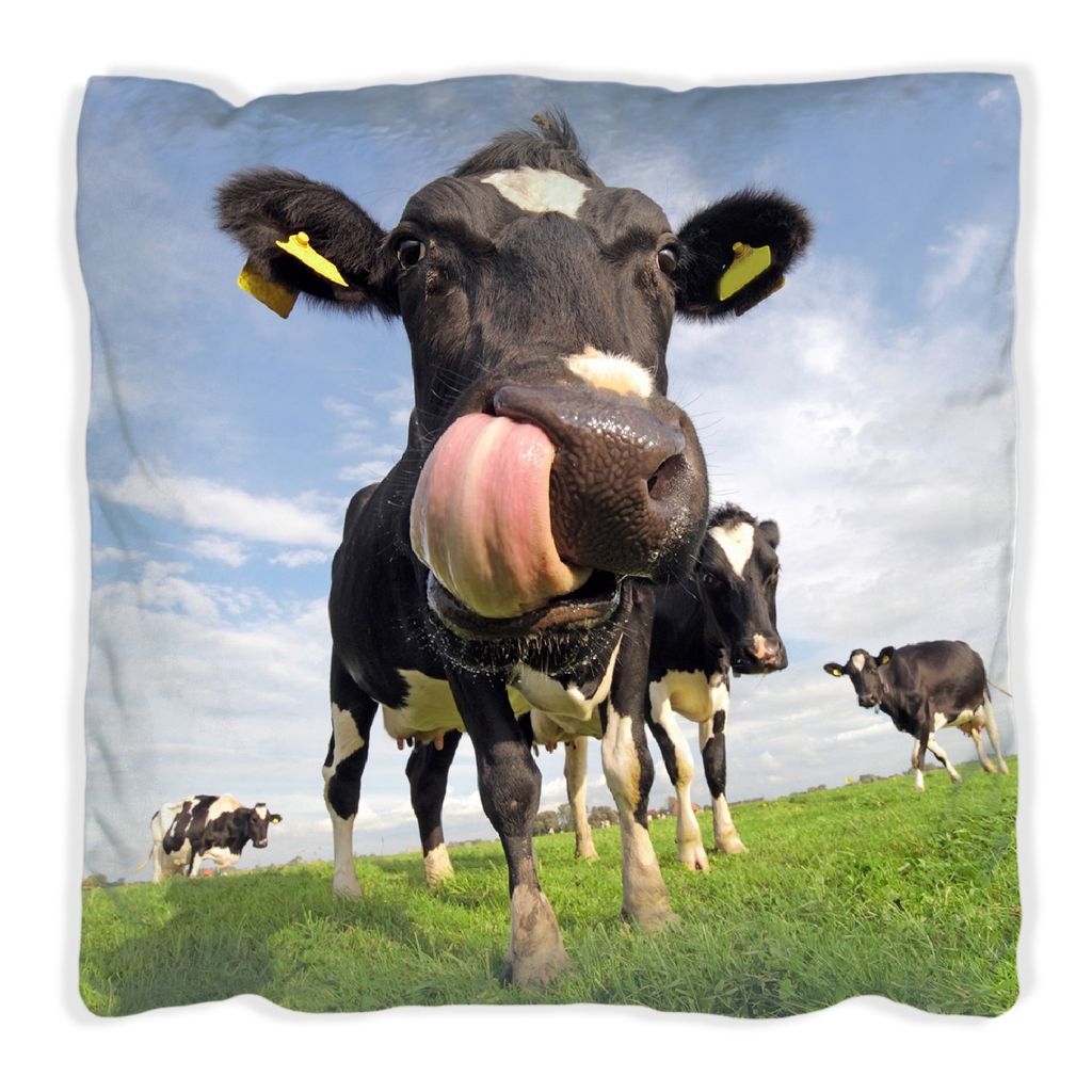 Wallario Premium Kissen, weiche Oberfläche, mit Motiv Lustige Kuh auf der Weide mit herausgestreckter Zunge, Größe: 40 x 40 cm, mit weißer Rüc...