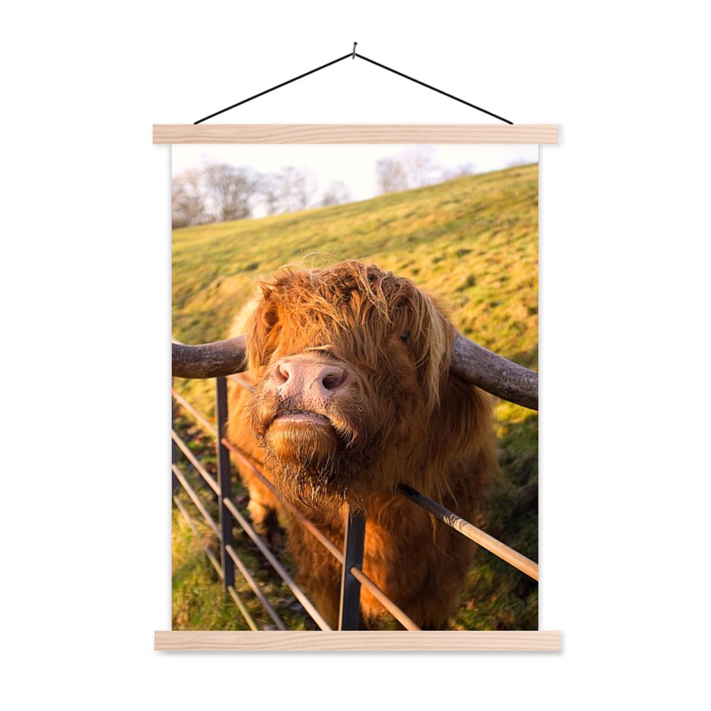 MuchoWow Textilposter Scottish Highlander - Zaun - Gras 60x80 cm mit holzfarbenen Rahmen - Wandbild