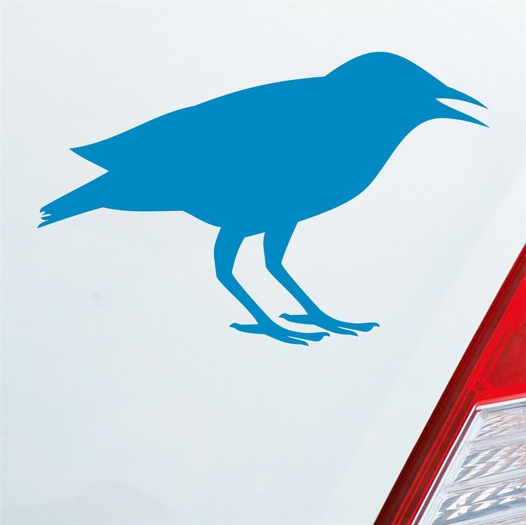 Auto Aufkleber Rabe Vogel Bird Vogelfreund 15x10 cm Hellblau Sticker Heckscheibenaufkleber