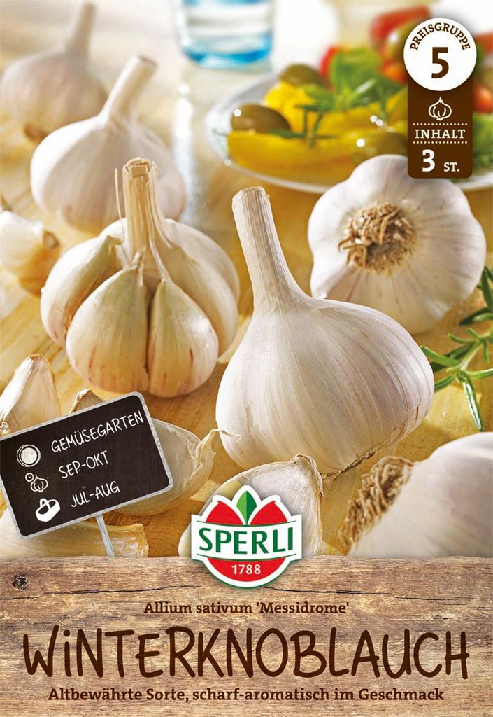 Artikelbild 1 von 'Knoblauch Messidrome (3 Stück)' aus der Kategorie Winterpflanzknoblauch