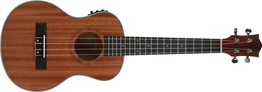 Guitare Prodipe Guitars BT3 EQ Idéale pour Scène, Studio et Composition