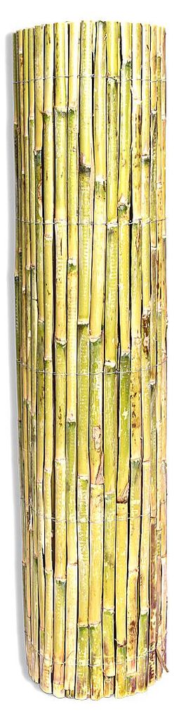 Cañizos Alpe - Sichtschutzzaun aus naturbelassenen Schilfrohren - 2 Rollen 1x5 m - geteilte Rohre für Balkon Terrasse Garten