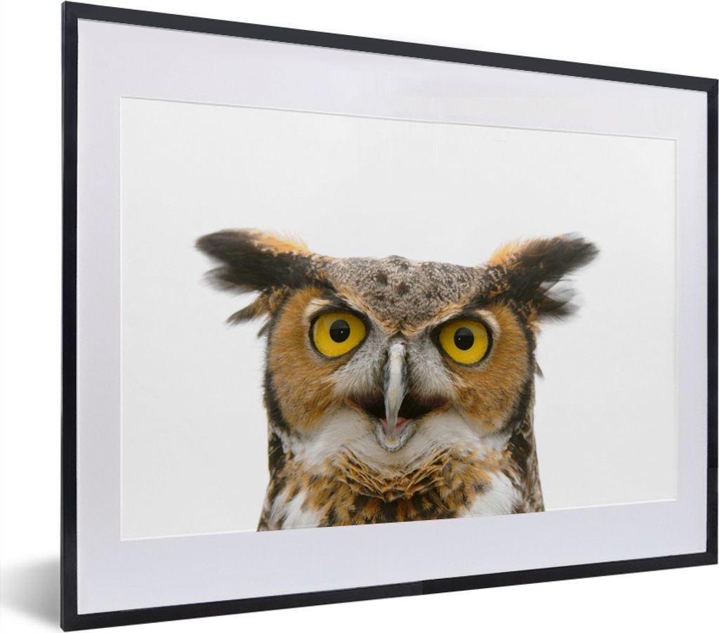 MuchoWow MuchoWow Gerahmtes Poster Eule - Vogel - Porträt 40x30 cm - Poster mit zchwarzem Bilderrahmen - Bilderrahmen - Poster im Rahmen