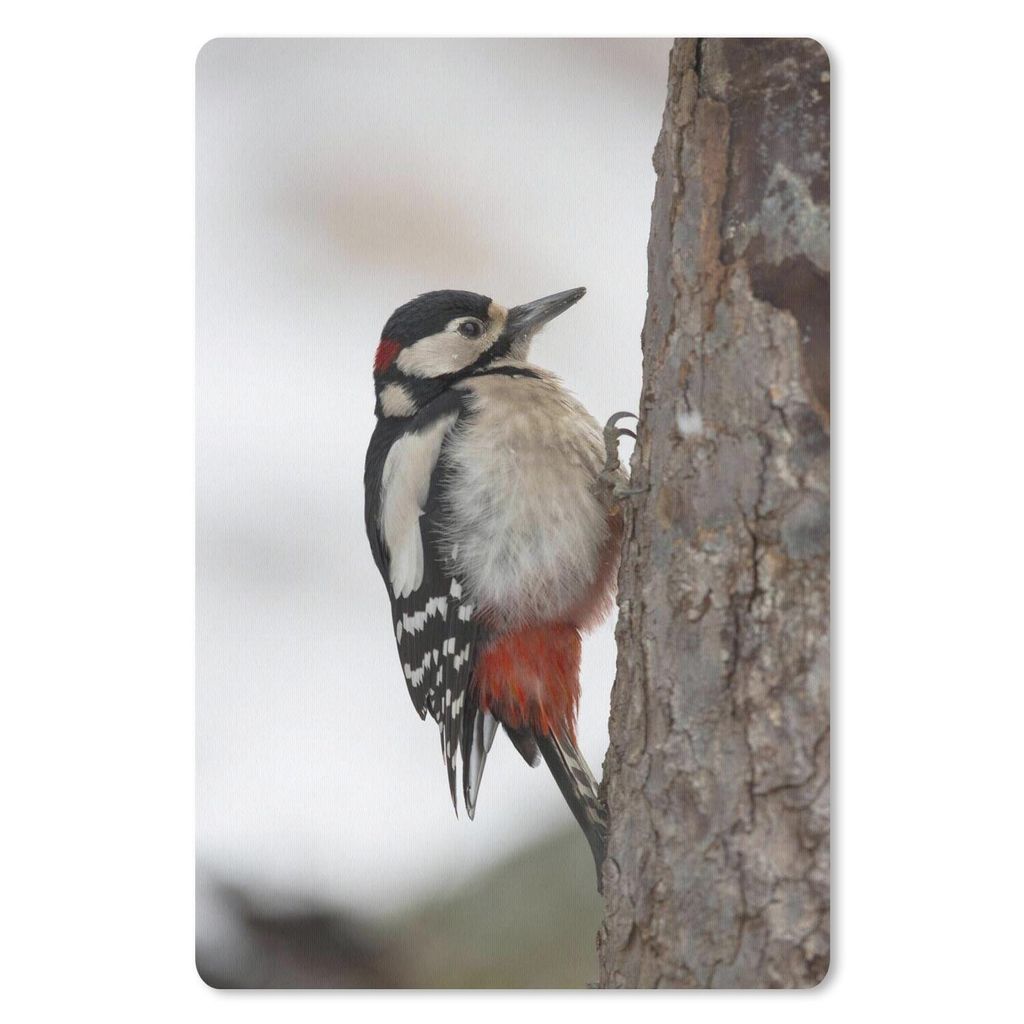 MuchoWow Mauspad Mousepad Ein Buntspecht im Winter 40x60 cm - Mousepads - Maus Mat - Pad - Mausunterlage - Schreibtisch Accesoire