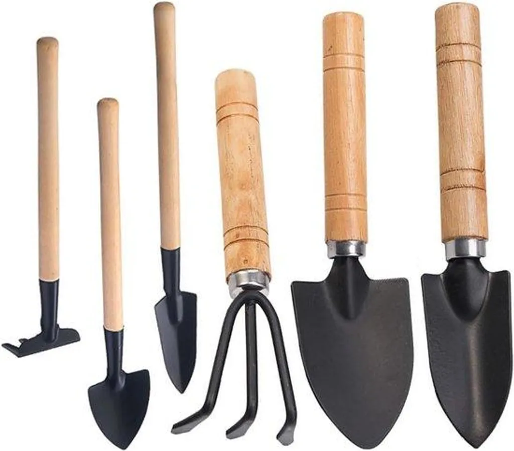Kit de jardinage 6 pièces inox pour plantes en pot et succulentes