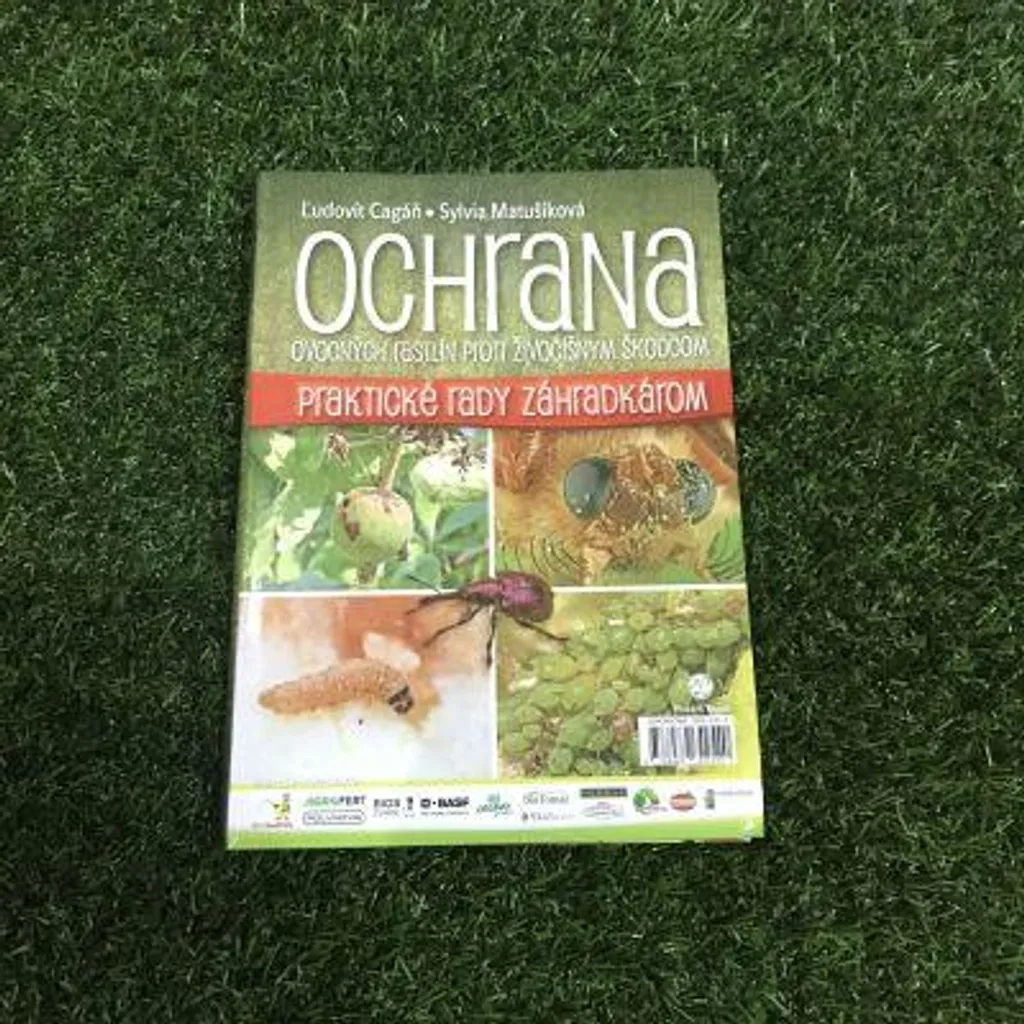 Protéger Arbres Fruitiers des Insectes : Guide de Solutions Pratiques