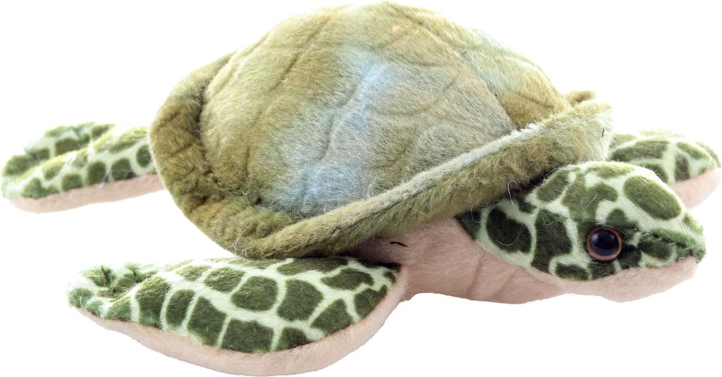 Peluche Tartaruga Marina 17 Cm Immagine del prodotto 