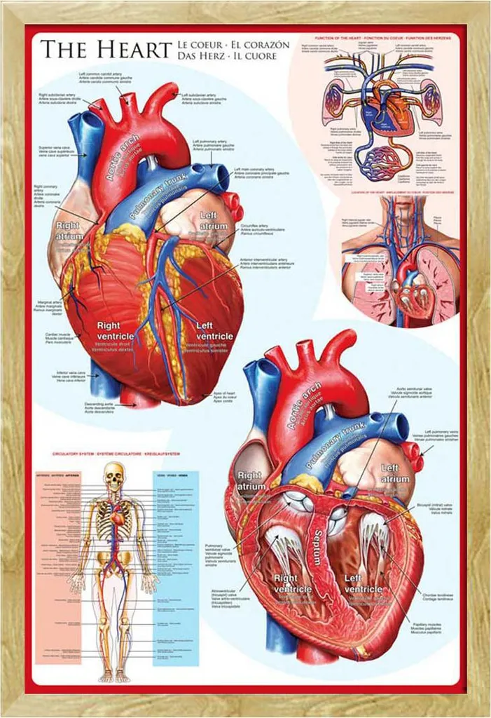 Regalo Laurea Medicina: Poster Cuore Shinsuke con Cornice Faggio