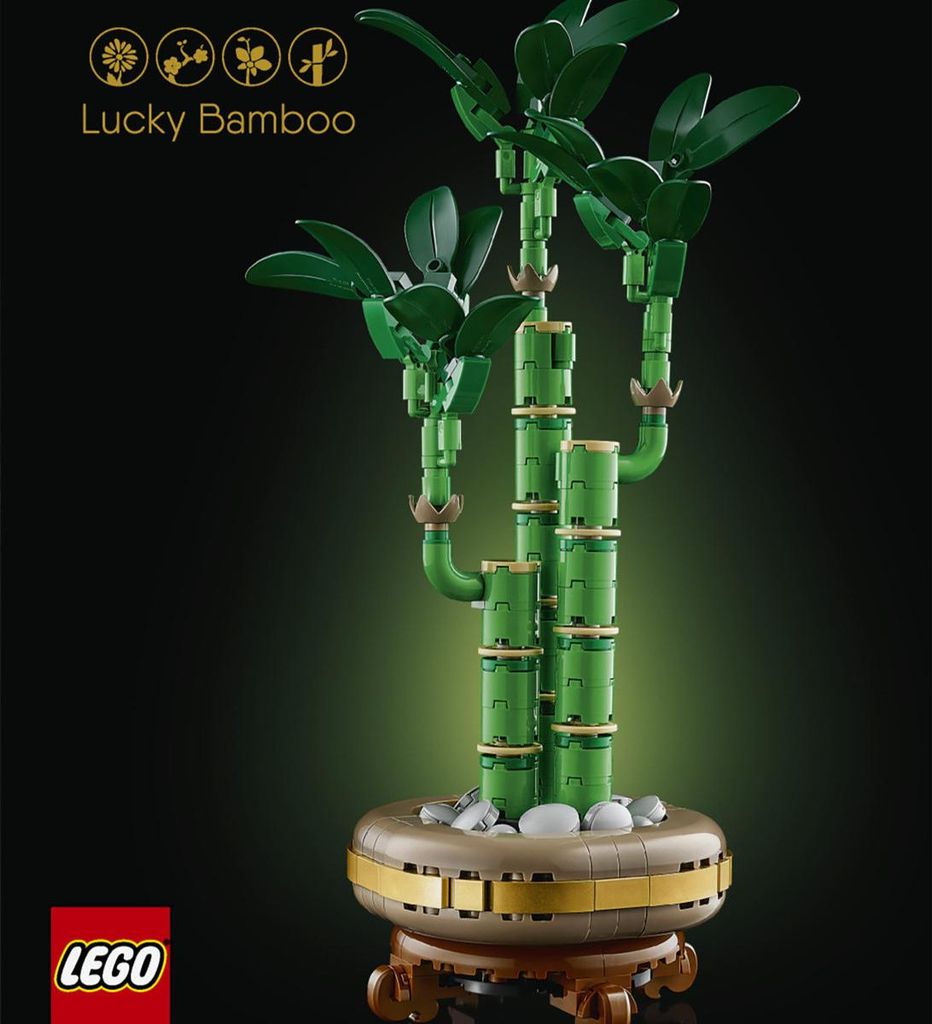 LEGO Botanicals 10344 Bambù del Buon Auspicio Set Immagine del prodotto 