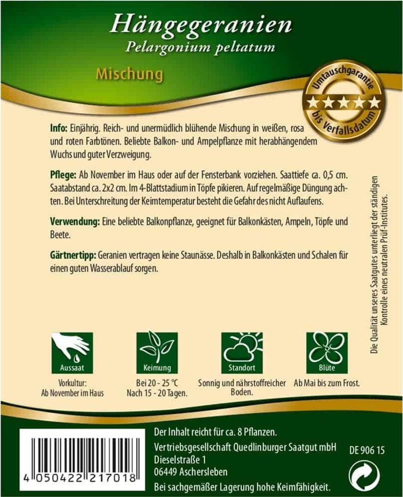 Quedlinburger Saatgut - Hänge-Geranien Mischung - Samen - Produktbild 2