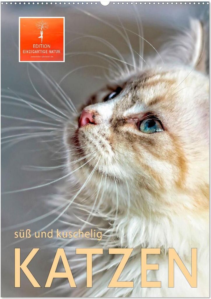 Katzen - süß und kuschelig (Wandkalender 2026 DIN A2 hoch), CALVENDO Monatskalender