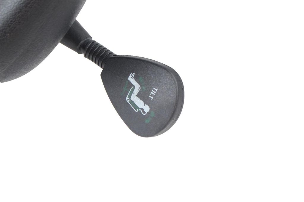 Topstar Stehhilfe "STANDSTAR" schwarz Produktbild 16