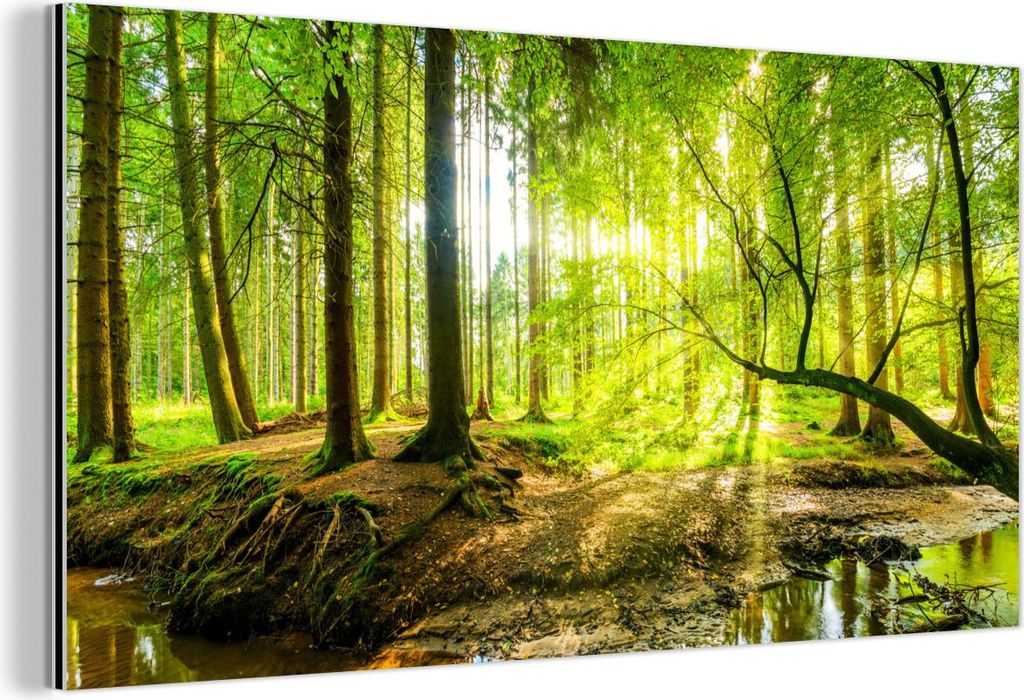 MuchoWow Wanddekoration Metall Metallbild Wandkunst 120x60 cm Wald - Landschaft - Wasser - Bäume - Sonne - Grün - Natur MuchoWow Aluminium Gemäl...