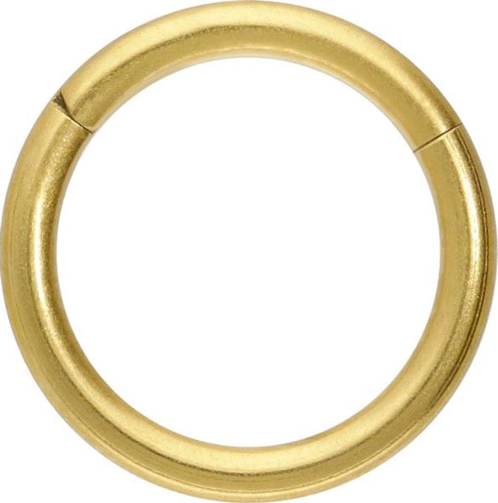 Ohrpiercing, Nasenpiercing, Septum Piercing Titan Segmentring Clicker MATT Gold Innendurchmesser: 8mm + Stabstärke: 1,2mm