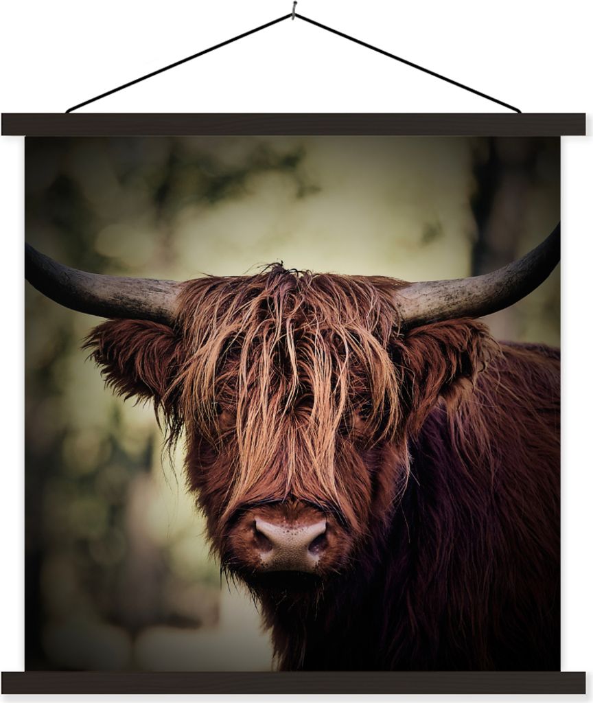 MuchoWow Textilposter Schottisches Hochlandrind - Licht - Porträt - Natur 60x60 cm mit schwarzem Rahmen - Posteraufhänger