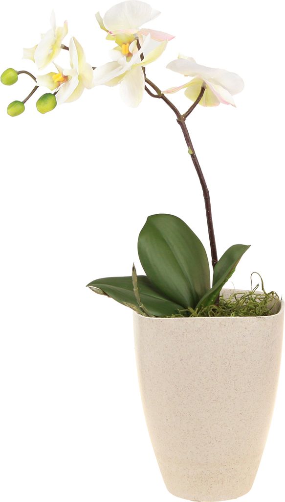 Orchideentopf Pflanzgefäß Kunststoff Modern Dekoration Produktbild 
