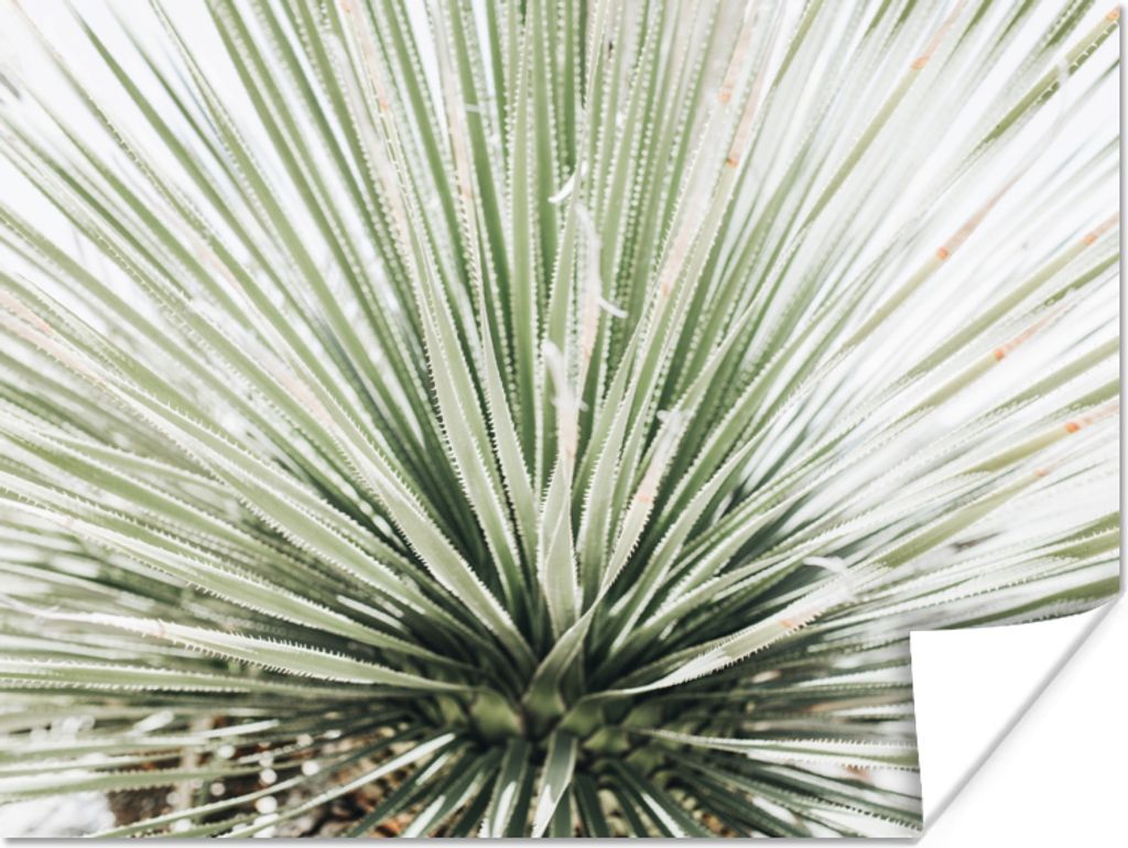 MuchoWow Poster Grün - Blätter - Natur 80x60 cm - Kunst für zu Hause