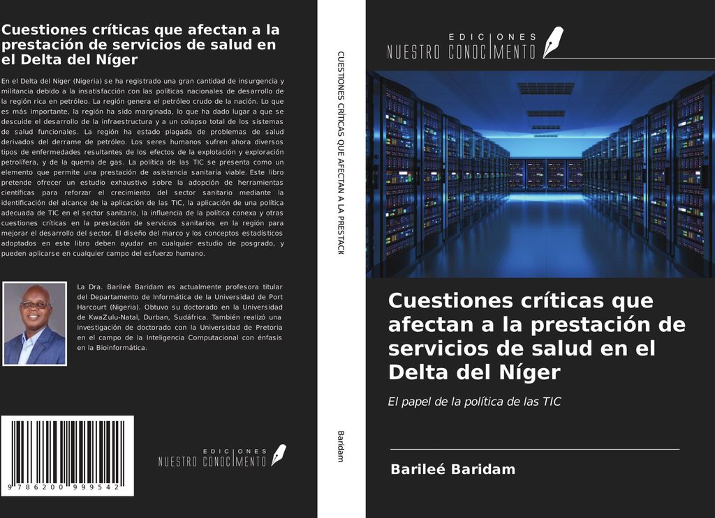 Cuestiones críticas que afectan a la prestación de servicios de salud en el Delta del Níger
