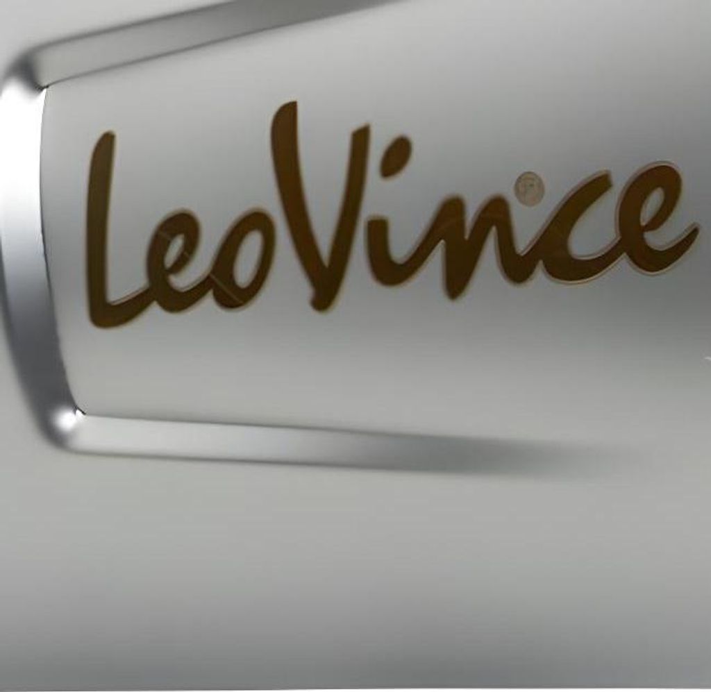 Endschalldämpfer LeoVince Auspuff-Ersatzteil 10444, Edelstahl, 370mm, links für LV ONE