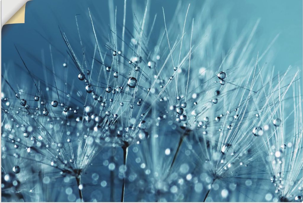 ARTland Wandbild, selbstklebend Blaue glitzernde Pusteblume Größe: 80x60 cm