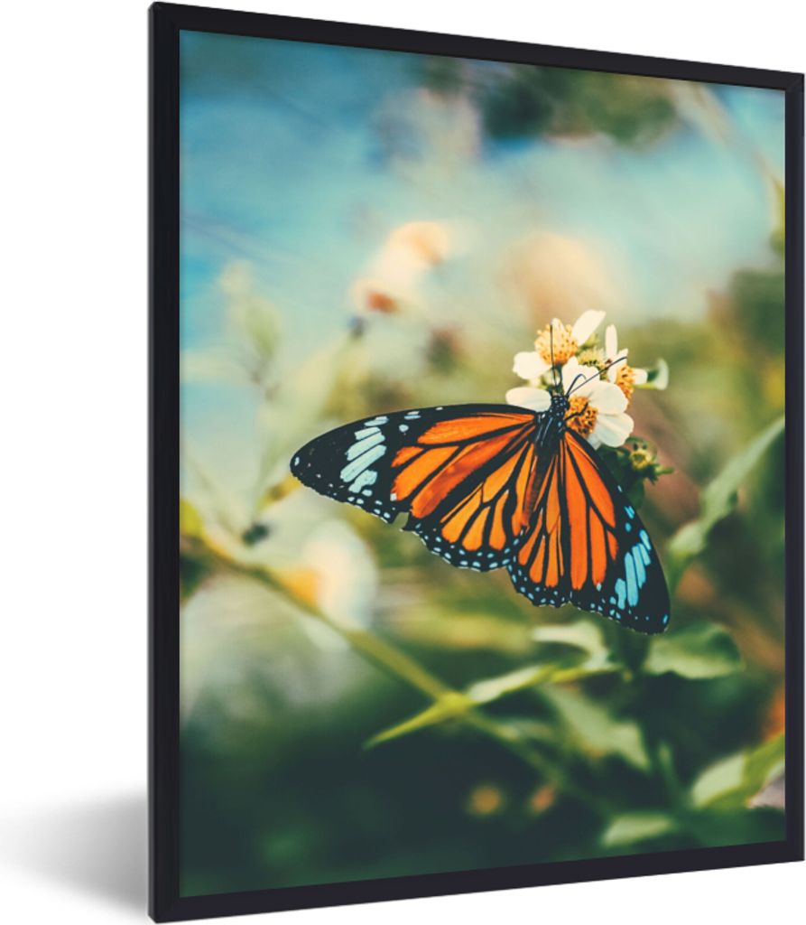 MuchoWow Gerahmtes Poster Schmetterling - Blumen - Garten 60x80 cm - Poster mit Schwarzem Bilderrahmen Wandposter Rahmen Foto Bilder - Premium - ...