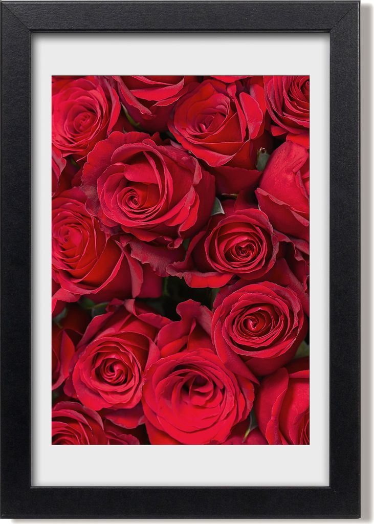 Bild 20x30 MDF-Rahmen, Wandkunst Rote Rosen