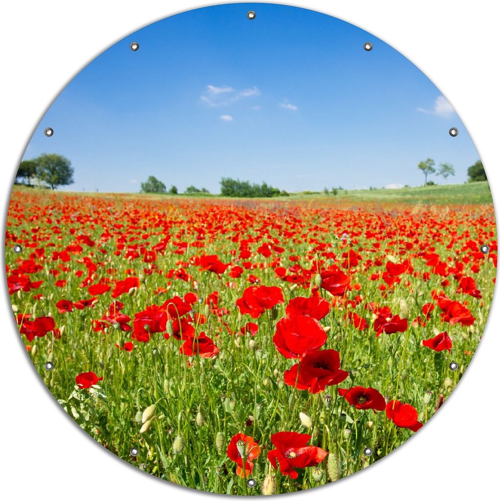 Wallario rundes Outdoor-Poster für Garten oder Balkon, Motiv Mohnblumenfeld- rote Blumen unter blauem Himmel, 120 cm Durchmesser