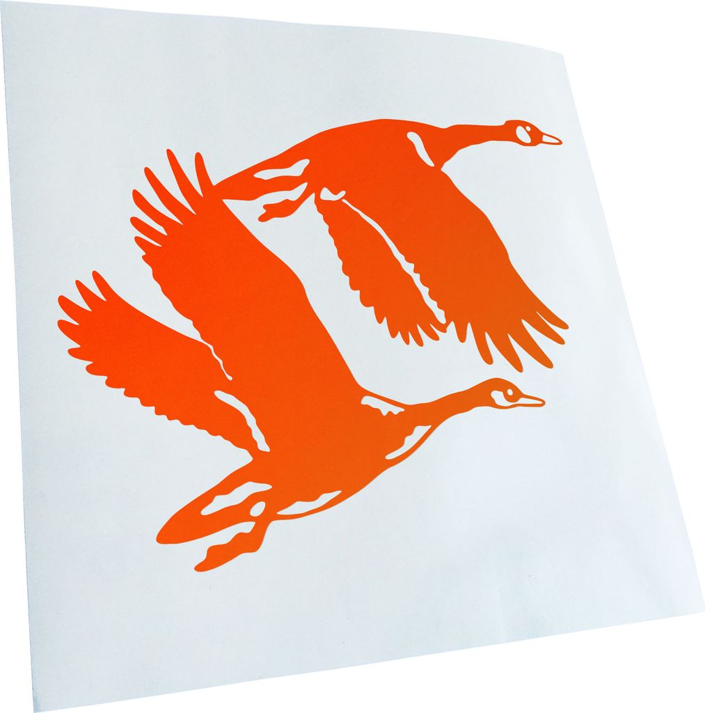 hauptsachebeklebt Kiwistar - Autoaufkleber - Enten - Flugenten - Duck Heckscheibe - Aufkleber für Auto Kfz Fahrrad, LKW, Truck Mofa