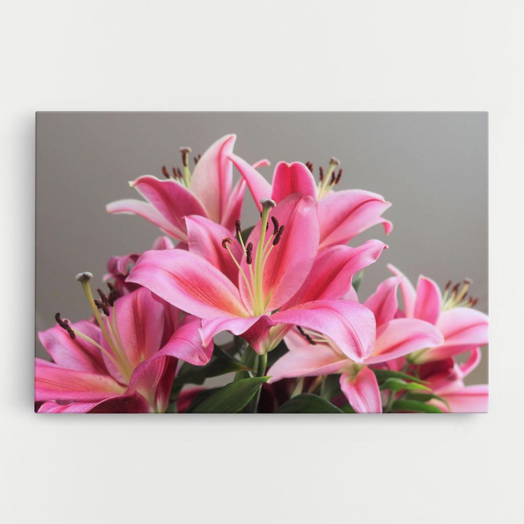 ARTHUB Leinwandbild 50x70 cm, Light Pink Lily View | Wohnzimmerdekoration, Hängende Bilder, Wanddekoration, Heimdekoration, Blumen, Lilien