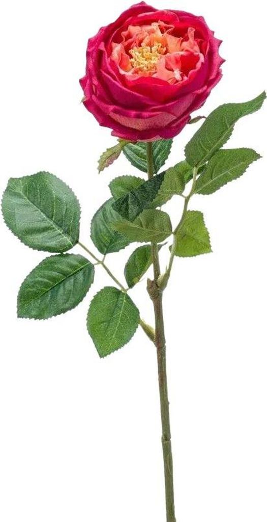 Emerald Künstliche Rose - Estefania | 60 cm, für drinnen, Kunstblume, wie echt, Allergiker geeignet, pflanzliche Dekoration Praxis, Office & Wohn...