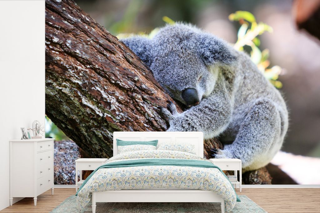 MuchoWow Fototapete für Wohnzimmer oder Schlafzimmer Wandtapete Vinyl Motivtapete Koala - Kofferraum - Kuscheltier - Jungen - Mädchen - 330x220...