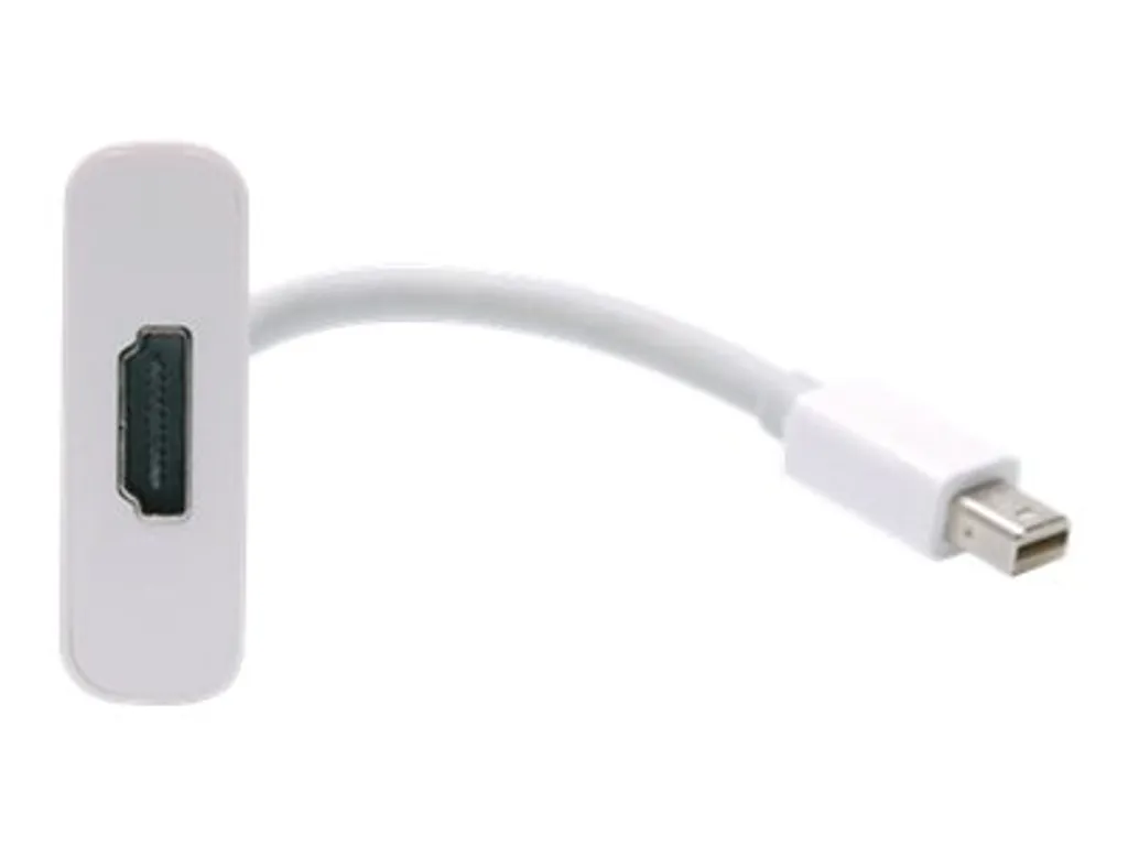 Câble adaptateur vidéo Mini DVI vers HDMI femelle pour Mac Book et iMac