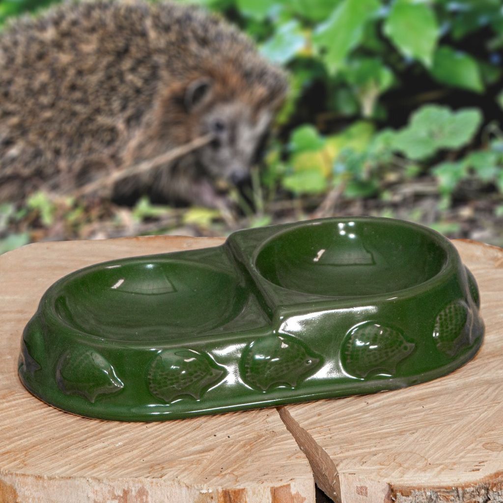 Trinkschale, Igel, Keramik, Grün