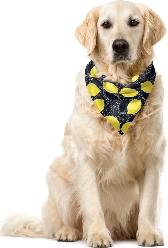 ABAKUHAUS Bandana per animali domestici con motivi fruttati, limoni e fiori, 40x40 cm, grigio antracite e giallo