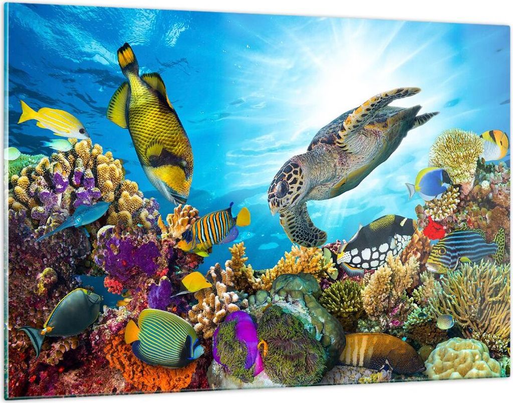 Bilder auf glas - Riff Koralle Fisch - 120x80cm - Glasbilder - Wandbilder - Kunstdruck - zum Aufhängen bereit - Wanddekoration aus Glas - Glas Bil...